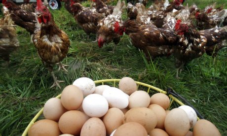 Γιατί εκτοξεύνται οι τιμές στα αυγά: Νέος «εφιάλτης» για τους καταναλωτές εν όψει Πάσχα