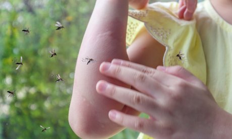 Τσίμπημα κουνουπιού: Αν δείτε αυτά, έχει μολυνθεί – Τι να κάνετε