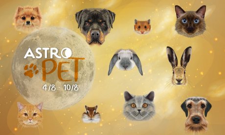 AstroPet από 04/08 έως 10/08: Εβδομαδιαίες προβλέψεις για το κατοικίδιό σου