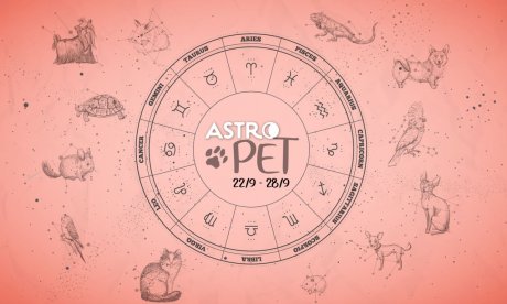 AstroPet από 22/09 έως 28/09: Εβδομαδιαίες προβλέψεις για το κατοικίδιό σου