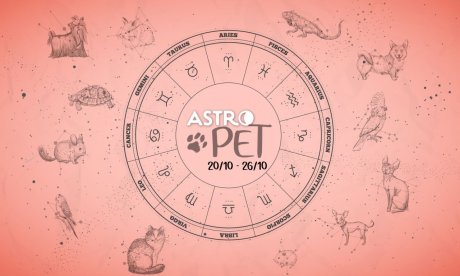 AstroPet από 20/10 έως 26/10: Εβδομαδιαίες προβλέψεις για το κατοικίδιό σου