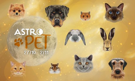 AstroPet από 27/10 έως 02/11: Εβδομαδιαίες προβλέψεις για το κατοικίδιό σου