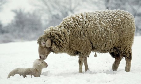 Διάβασε την προσωπική σου πρόβλεψη, για σήμερα 05/01/2025