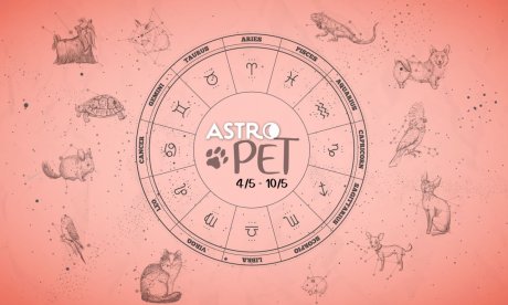 AstroPet από 04/05 έως 10/05:Εβδομαδιαίες προβλέψεις για το κατοικίδιό σου