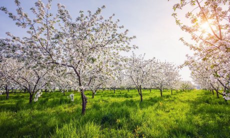 Διάβασε την προσωπική σου πρόβλεψη, για σήμερα 13/05/2025