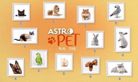 AstroPet από 15/06 έως 21/06:Εβδομαδιαίες προβλέψεις για το κατοικίδιό σου