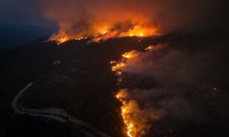 Φωτιά στη Σμύρνη: «Μάχη» με τους ανέμους και τις αναζωπυρώσεις - 50.000 εκτοπισμένοι