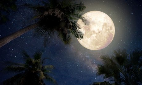 Δες τον δρόμο που σου δείχνει το Φεγγάρι από 16/07 έως 31/07