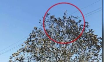 Πάτρα: Πώς ξεκίνησε τελικά η καταστροφική φωτιά - Η μαρτυρία που «επιβεβαιώνει» τον 25χρονο