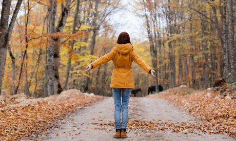 Ημερήσιες Προβλέψεις για όλα τα Ζώδια, 16/10: Δημιουργία, παιχνίδι και θετική διάθεση