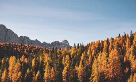 Καιρός: Ηλιόλουστη η Πέμπτη – Τι δείχνουν τα προγνωστικά μοντέλα για τα Χριστούγεννα