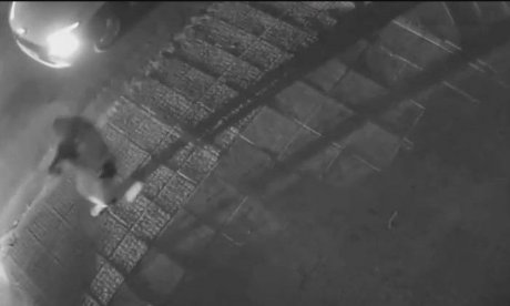 Χαλάνδρι: H στιγμή της σύλληψης του γιου του Μιχάλη Κατρίνη - Βίντεο ντοκουμέντο