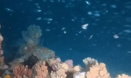 Μυστήριο 150 ετών λύθηκε αλλά 500 εκατ. δολάρια παραμένουν παγιδευμένα κάτω από το νερό