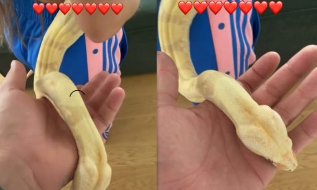 Αλεξάνδρου: Το φίδι του, ο Κλέαρχος, τυλίγεται γύρω από τη Ρία Ελληνίδου & το χαίρονται & οι δυο!