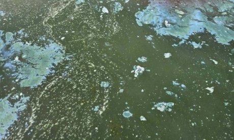 Κοζάνη: Γέμισε με λευκό αφρό η Λίμνη Πολυφύτου - Τι έδειξαν τα πρώτα αποτελέσματα δειγματοληψίας