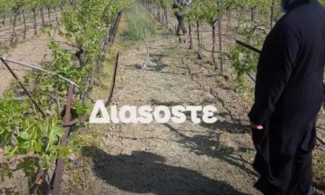 Τραγωδία στη Μεσαρά: Πώς πέθανε ο 58χρονος σε αμπέλι με το τρακτέρ του - Η συγκλονιστική περιγραφή