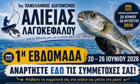 Ξεκινά το κυνήγι του λαγοκέφαλου: Στην «αντεπίθεση» οι ψαράδες, «έχουν γίνει ακόμα πιο επιθετικοί»