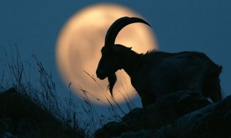 Πανσέληνος στον Αιγόκερω: Τέλος τα όνειρα και οι ψευδαισθήσεις για τα 12 ζώδια