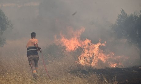 Φωτιά στη Βοιωτία: 2 συλλήψεις για τη μεγάλη πυρκαγιά που κατέκαψε την περιοχή κι έφτασε στην Αττική