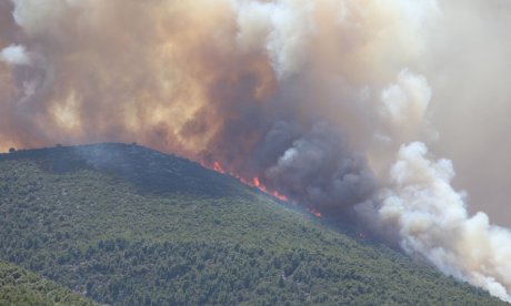 Βοιωτία: Συνελήφθη ο δήμαρχος Στυλίδας για την πυρκαγιά – Στο μικροσκόπιο το δίκτυο ηλεκτροδότησης