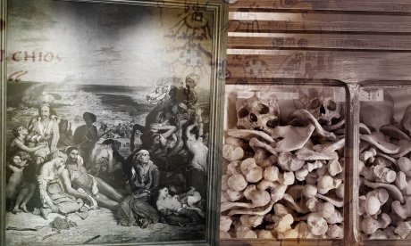 Χίος 1822: Εκεί όπου η σιωπή ακόμη κραυγάζει – Οδοιπορικό του Newsbomb στους τόπους της Σφαγής